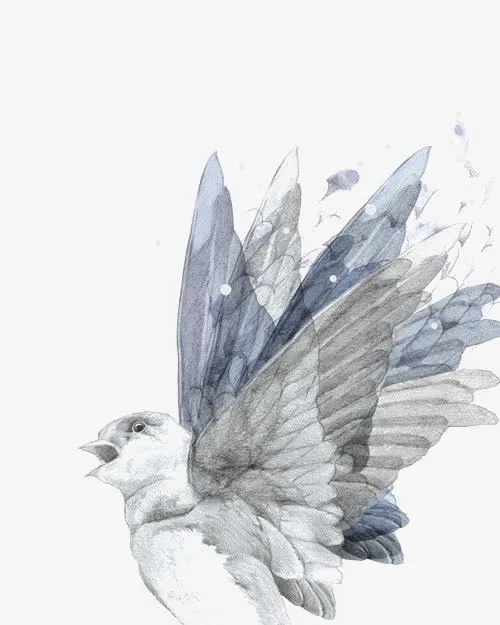 水彩鸽子免抠