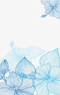 抽象线条花瓣免抠