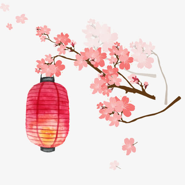 樱花灯笼免抠