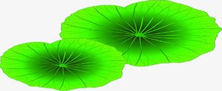 手绘合成绿色质感池塘上的荷叶免抠