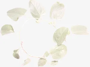 质感纹理素材复古图片素材免抠
