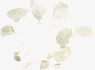 质感纹理素材复古图片素材免抠