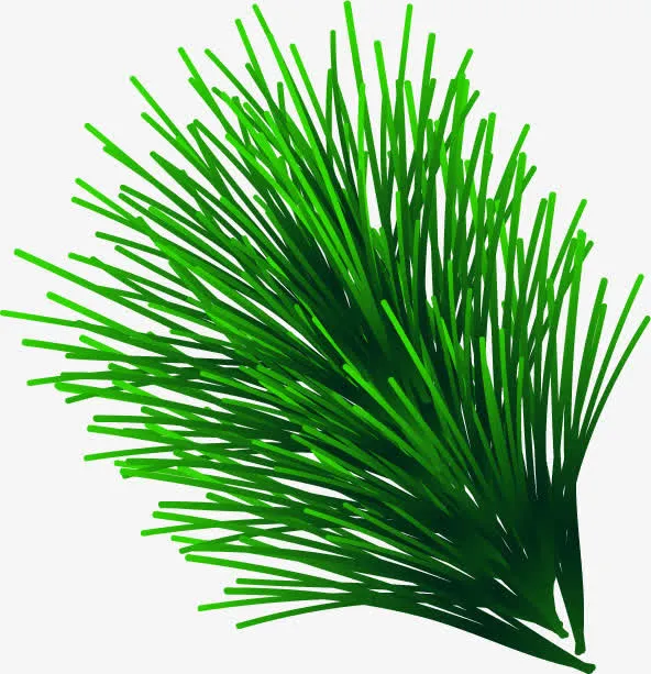 绿色叶子圣诞元旦双节特惠免抠