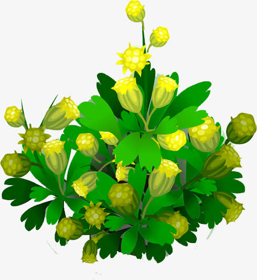 花树免抠