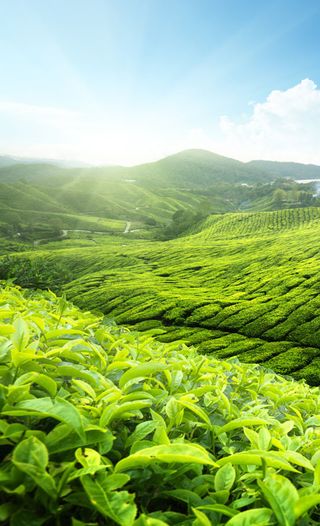 文艺摄影H5背景高清