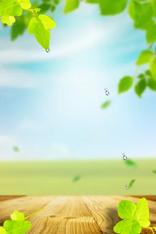 绿色自然食物海报背景高清另类其他背景