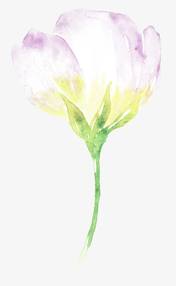紫韵陌上花开免抠