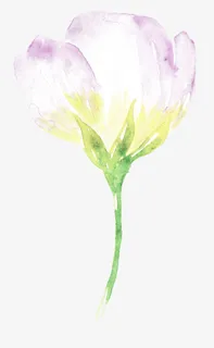 紫韵陌上花开免抠 紫韵陌上花开免抠