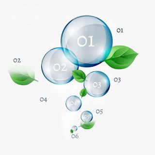 矢量绿叶水泡比例图免抠