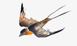 创意水墨燕子插画免抠免抠