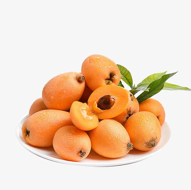 枇杷免费下载免抠