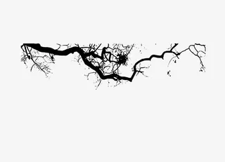 古风枝桠树木免抠