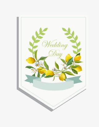 矢量水果卡片免抠