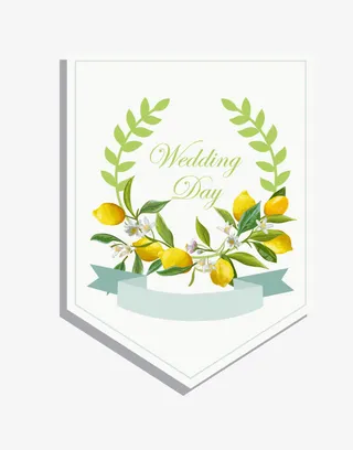 矢量水果卡片免抠