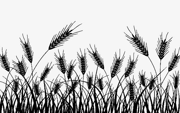 小麦黑白剪影免抠