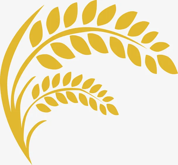 庄稼，水稻，稻谷，谷子免抠其他元素