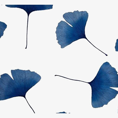 水彩银杏叶免抠