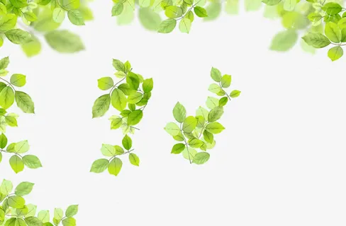 绿叶边框春天装饰免抠装饰其他装饰图案元素