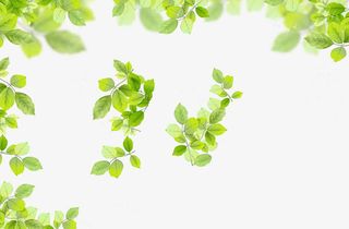 绿叶边框春天装饰免抠装饰其他装饰图案元素