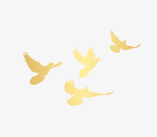 象征的和平鸽免抠