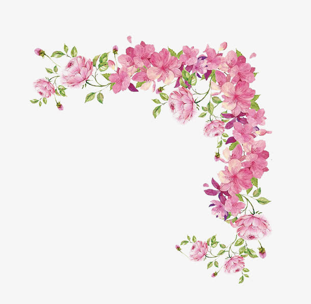 粉色的花朵免抠