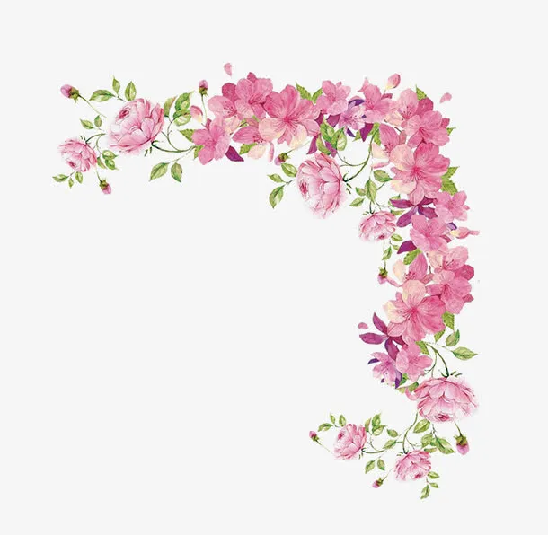 粉色的花朵免抠
