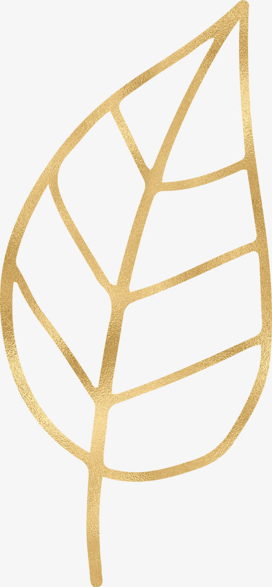 手绘金色树叶免抠