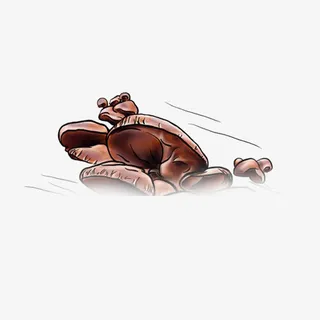 彩色手绘木耳免抠