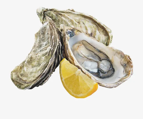海蛎美食免抠