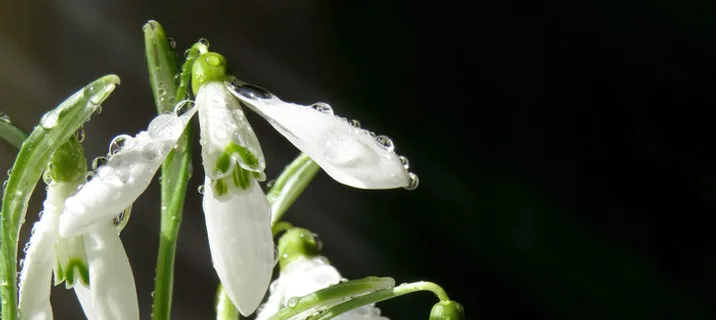 淘宝背景图高清