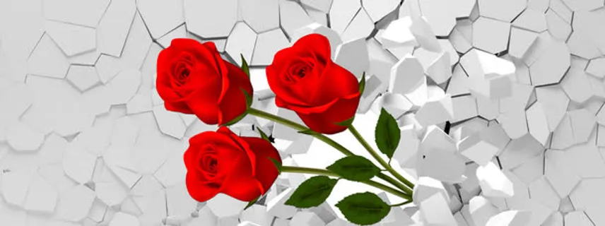 淘宝广告 淘宝 banner