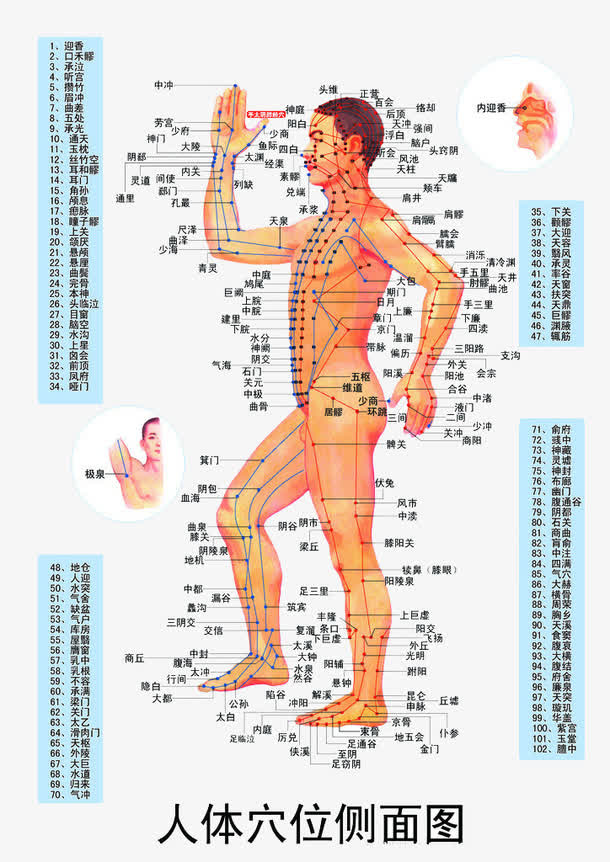 人体穴位侧面图免抠