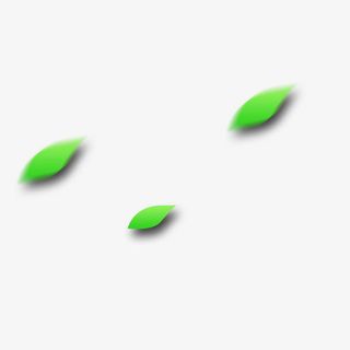 叶子免抠