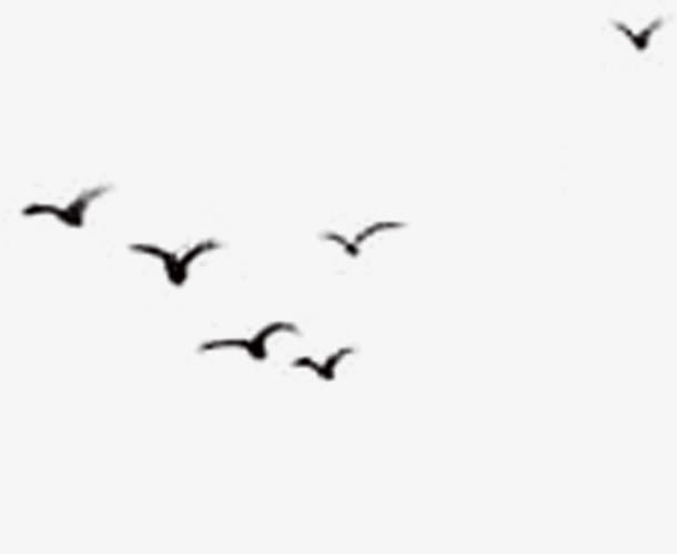 飞鸟水墨画免抠