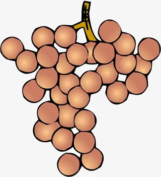 手绘装饰水果荔枝免抠