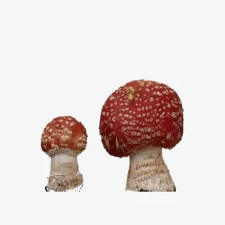 红色蘑菇免抠