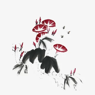 中国风水墨牵牛花免抠