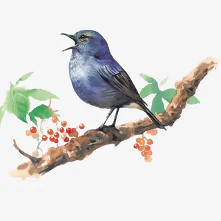 现代简约绿色树枝免抠