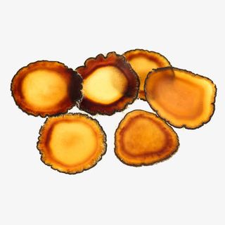 蜡片泡酒磨粉鹿茸入药鹿茸片免抠