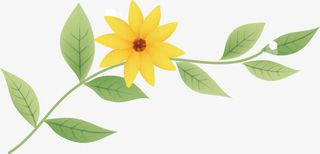 春暖花开免抠