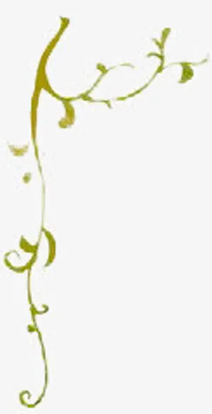 绿叶树藤边框免抠