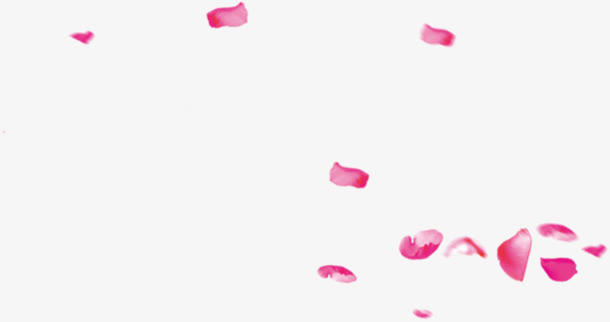 玫粉玫瑰花瓣飞舞免抠