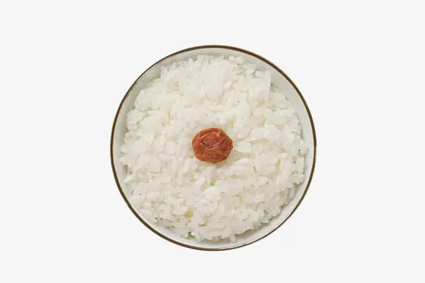 米饭话梅唯美素材免抠