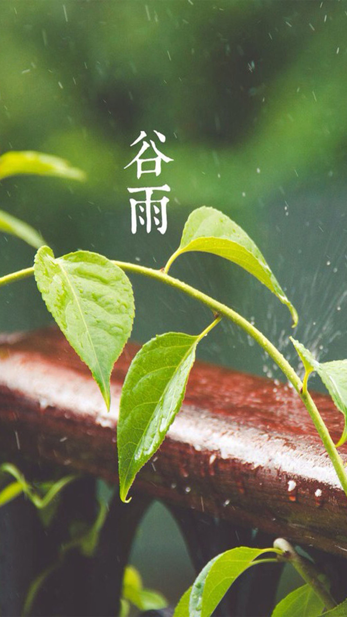 谷雨节气H5素材背景高清