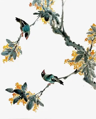 手绘花鸟图免抠