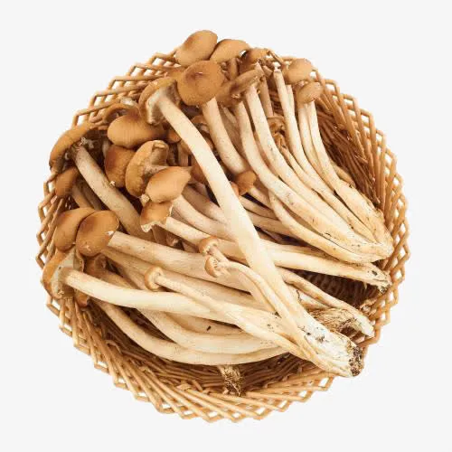 蟹味菇免扣图片免抠