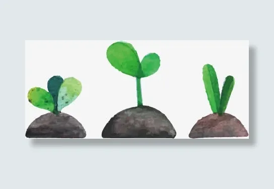 小树苗免抠