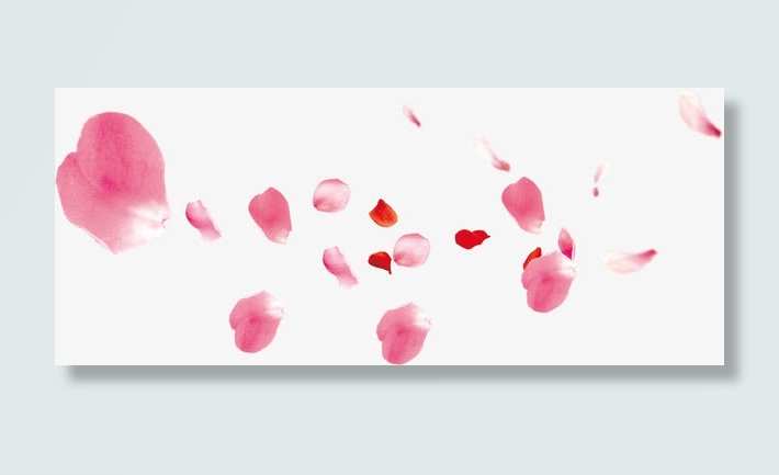 飘舞红色粉色玫瑰花瓣免抠