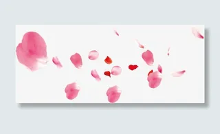 飘舞红色粉色玫瑰花瓣免抠