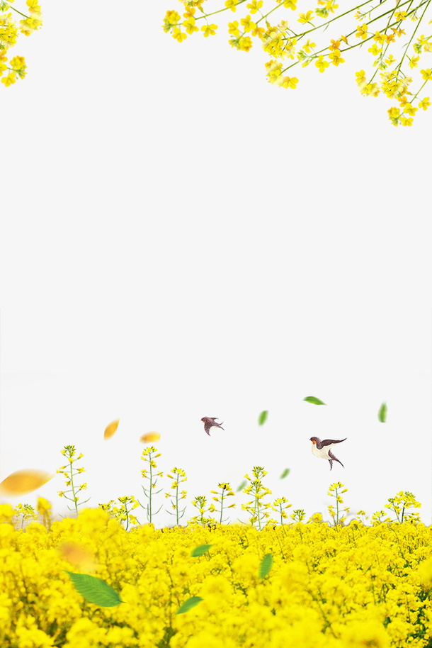 春季油菜花装饰边框免抠手绘/卡通卡通元素